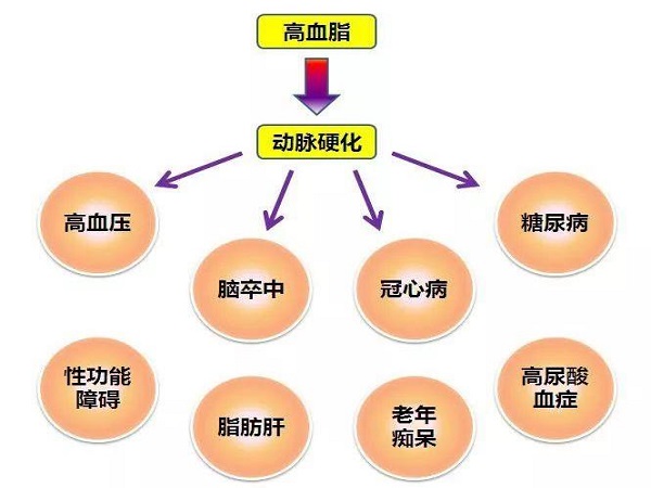 既是高血压,又是高血脂,怎么办?做好3点双调节