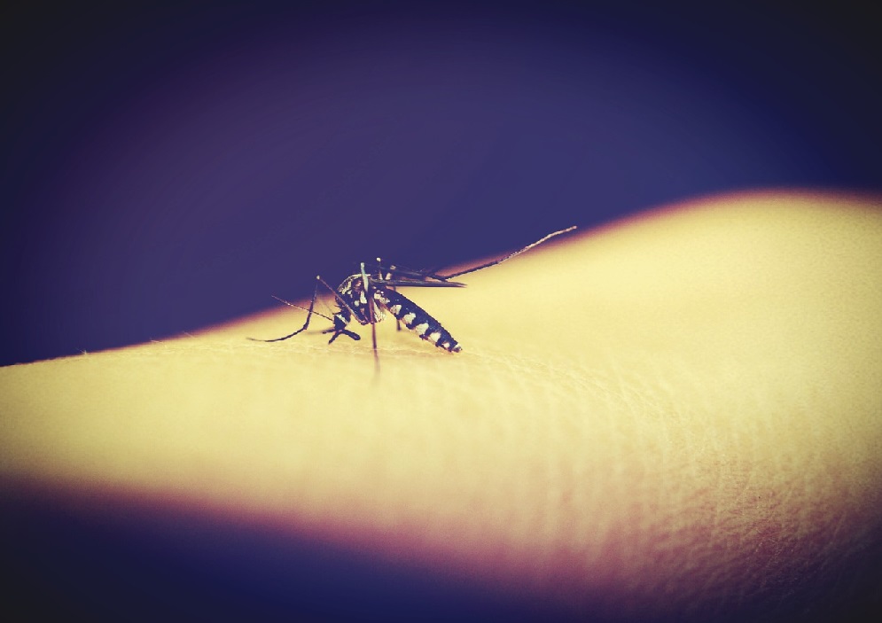 中国获颁国家消除疟疾认证！