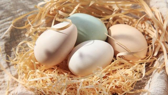 鸡蛋可预防脑中风？还是导致脑中风？